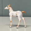 Nou OOAK Custom Chip Foal By Andrea Thomason - SAMPLE &amp; OOAK SALE APRIL 2024 SS424