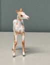 Nou OOAK Custom Chip Foal By Andrea Thomason - SAMPLE &amp; OOAK SALE APRIL 2024 SS424