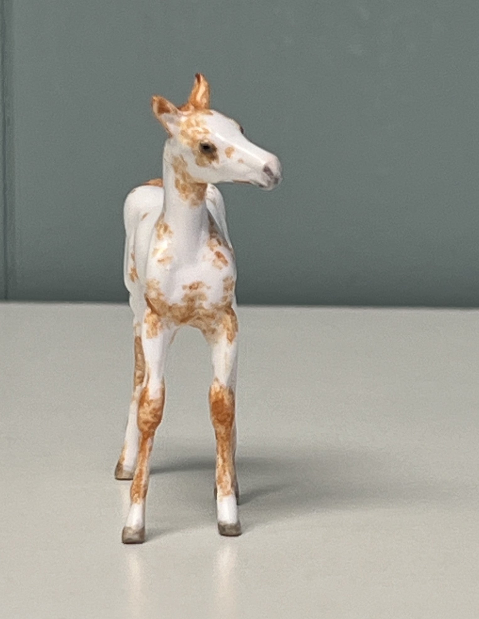 Nou OOAK Custom Chip Foal By Andrea Thomason - SAMPLE &amp; OOAK SALE APRIL 2024 SS424