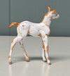 Nou OOAK Custom Chip Foal By Andrea Thomason - SAMPLE &amp; OOAK SALE APRIL 2024 SS424