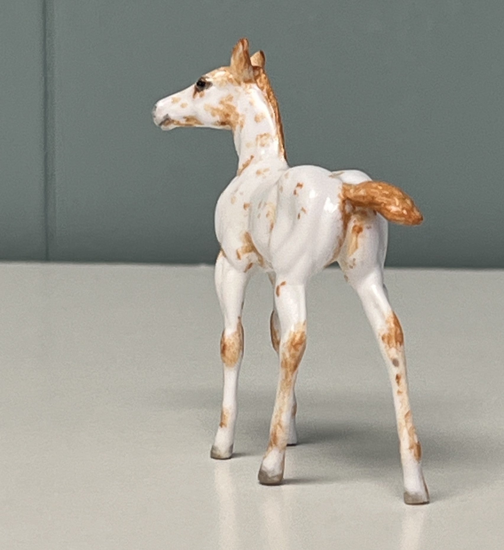 Nou OOAK Custom Chip Foal By Andrea Thomason - SAMPLE &amp; OOAK SALE APRIL 2024 SS424