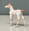 Nou OOAK Custom Chip Foal By Andrea Thomason - SAMPLE &amp; OOAK SALE APRIL 2024 SS424