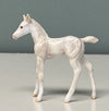 NY OOAK Custom Chip Foal By Andrea Thomason - SAMPLE &amp; OOAK SALE APRIL 2024 SS424