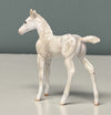 NY OOAK Custom Chip Foal By Andrea Thomason - SAMPLE &amp; OOAK SALE APRIL 2024 SS424