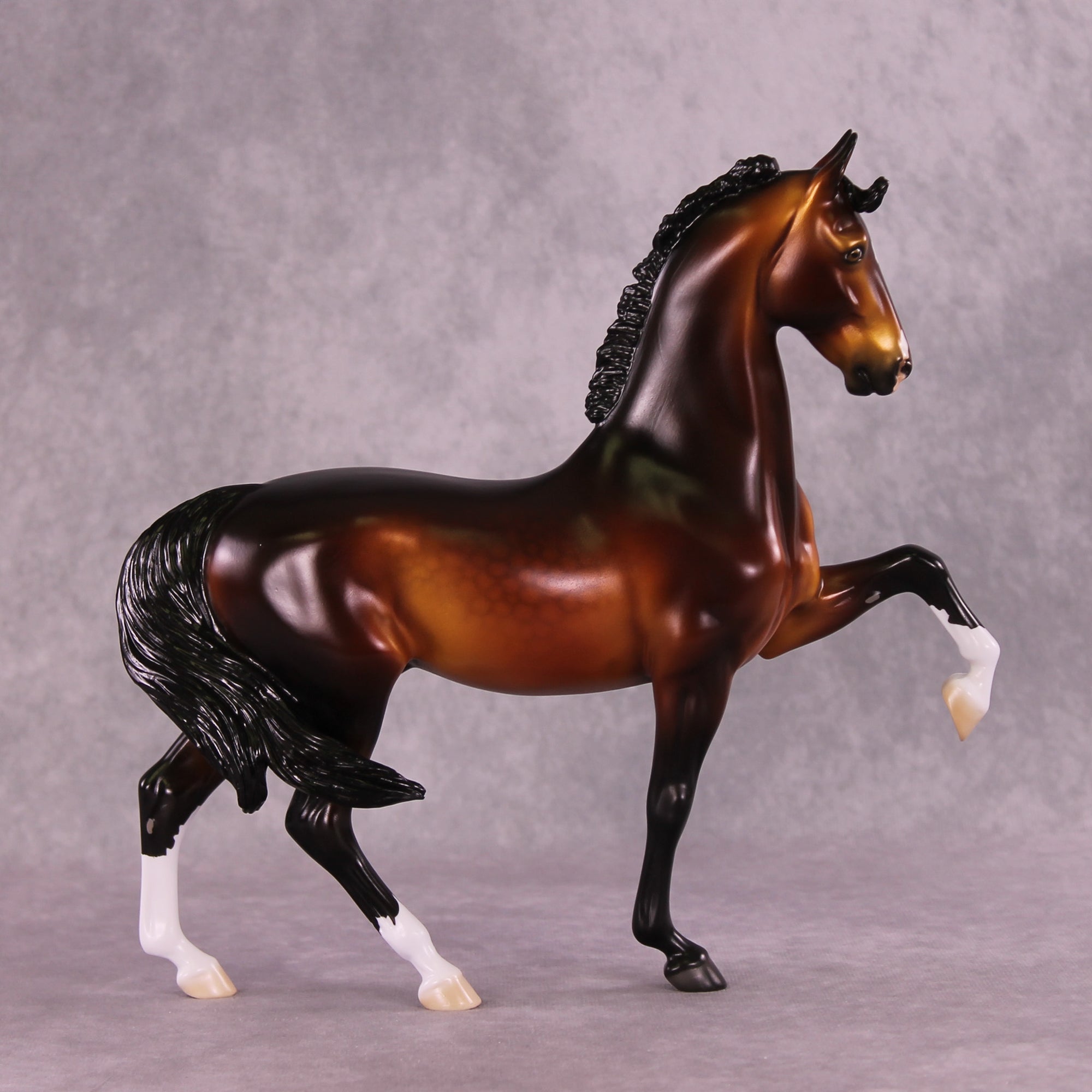 Antony LE-15 FCM Saddlebred by Ellen Robbins CL25