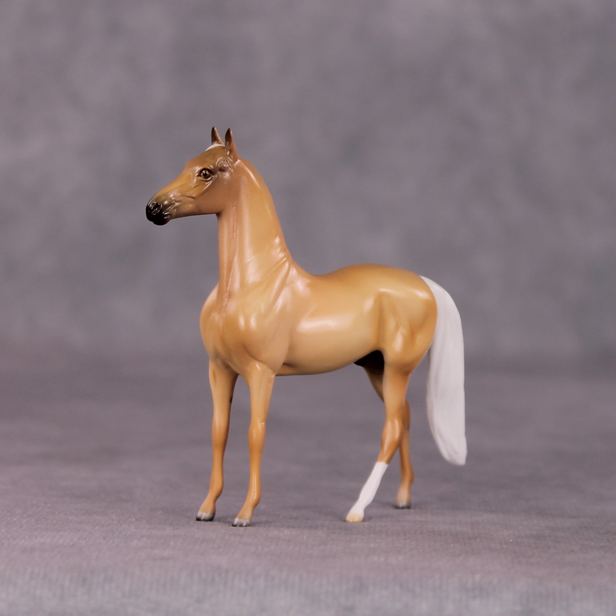 "Freddie" OOAK Morgan Chip by Angela Marleau SHCF25OS