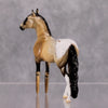 Peg Leg Pete OOAK Buckskin Appaloosa with Peg Legs Andalusian Chip By Dawn Quick MM24 MHP Auction Piece