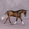 &quot;Augend&quot; OOAK Pebble Warmblood SHCF25