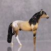 Peg Leg Pete OOAK Buckskin Appaloosa with Peg Legs Andalusian Chip By Dawn Quick MM24 MHP Auction Piece