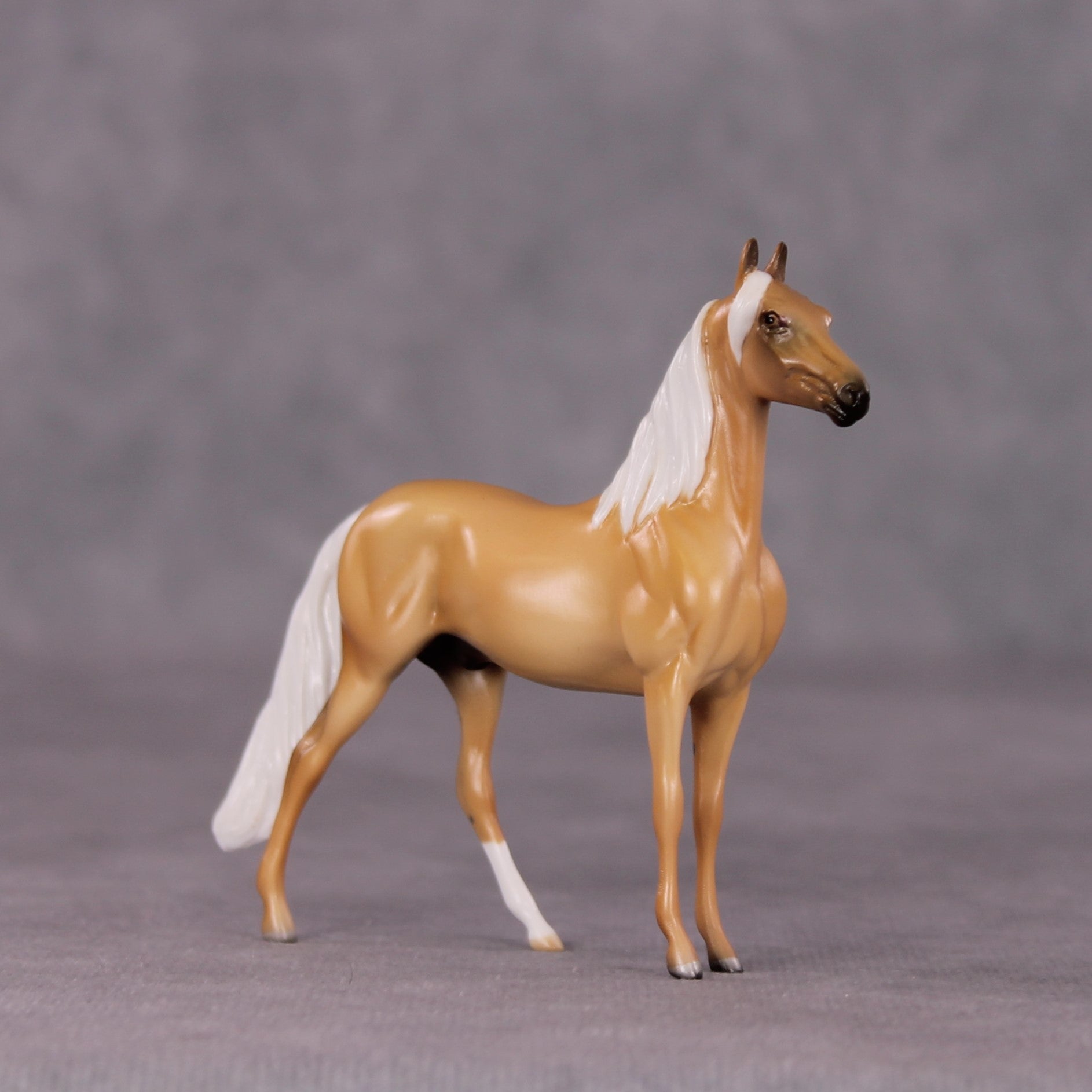 "Freddie" OOAK Morgan Chip by Angela Marleau SHCF25OS