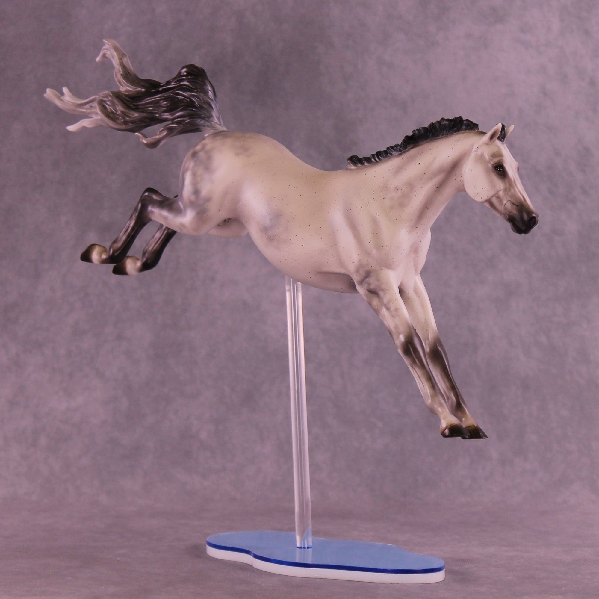 Dayzie LE-5 FCM Jumping Sport Horse by Melanie Miller TO26