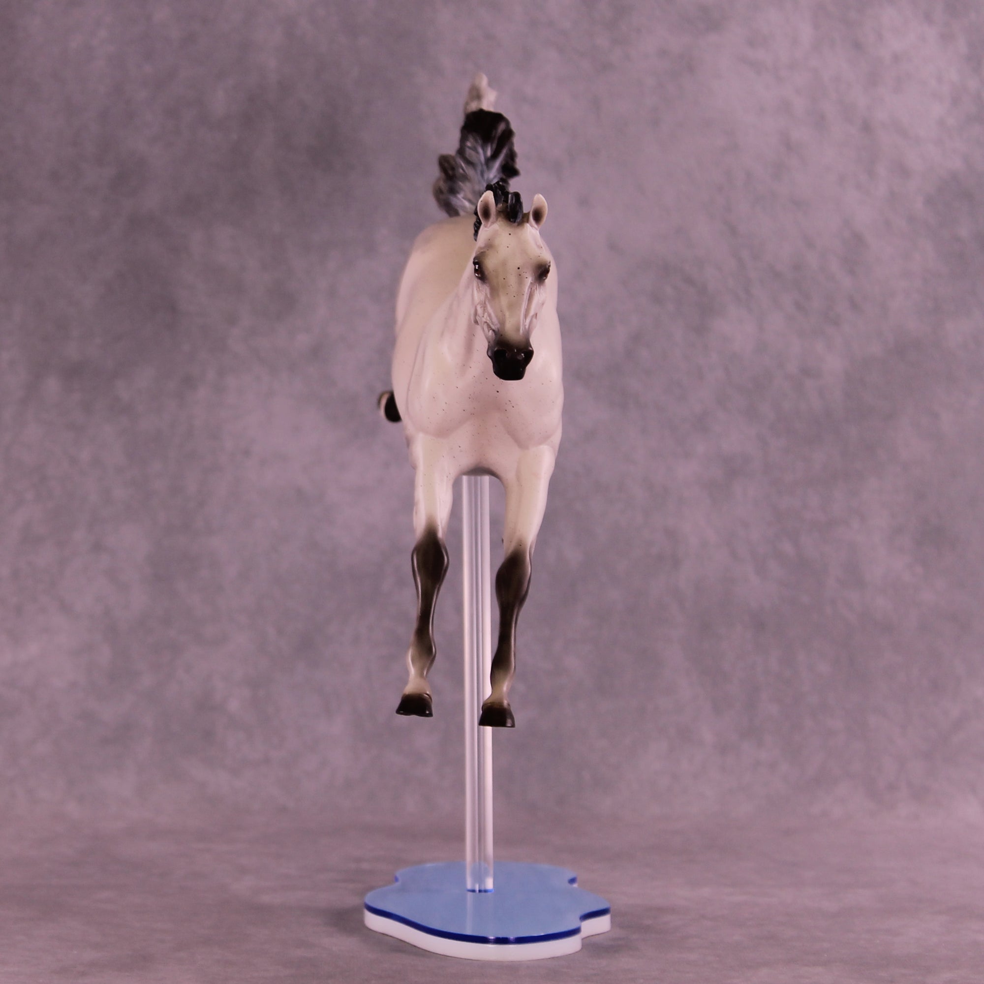 Dayzie LE-5 FCM Jumping Sport Horse by Melanie Miller TO26
