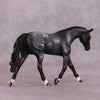 &quot;Addend&quot; OOAK Pebble Warmblood SHCF25OS