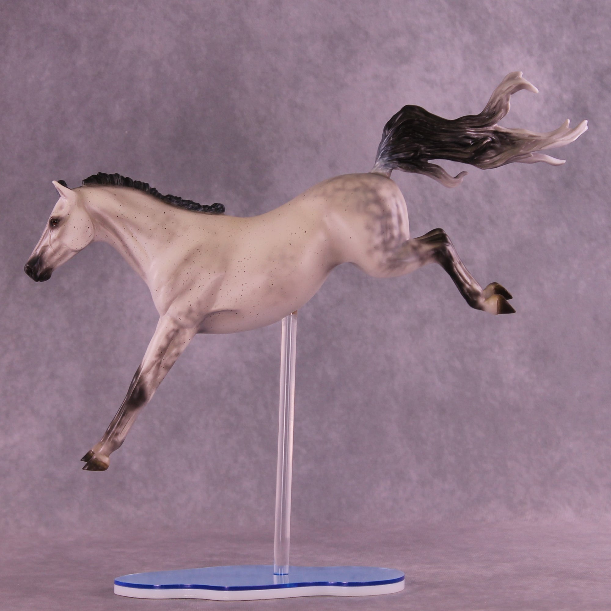 Dayzie LE-5 FCM Jumping Sport Horse by Melanie Miller TO26