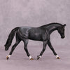 &quot;Addend&quot; OOAK Pebble Warmblood SHCF25OS