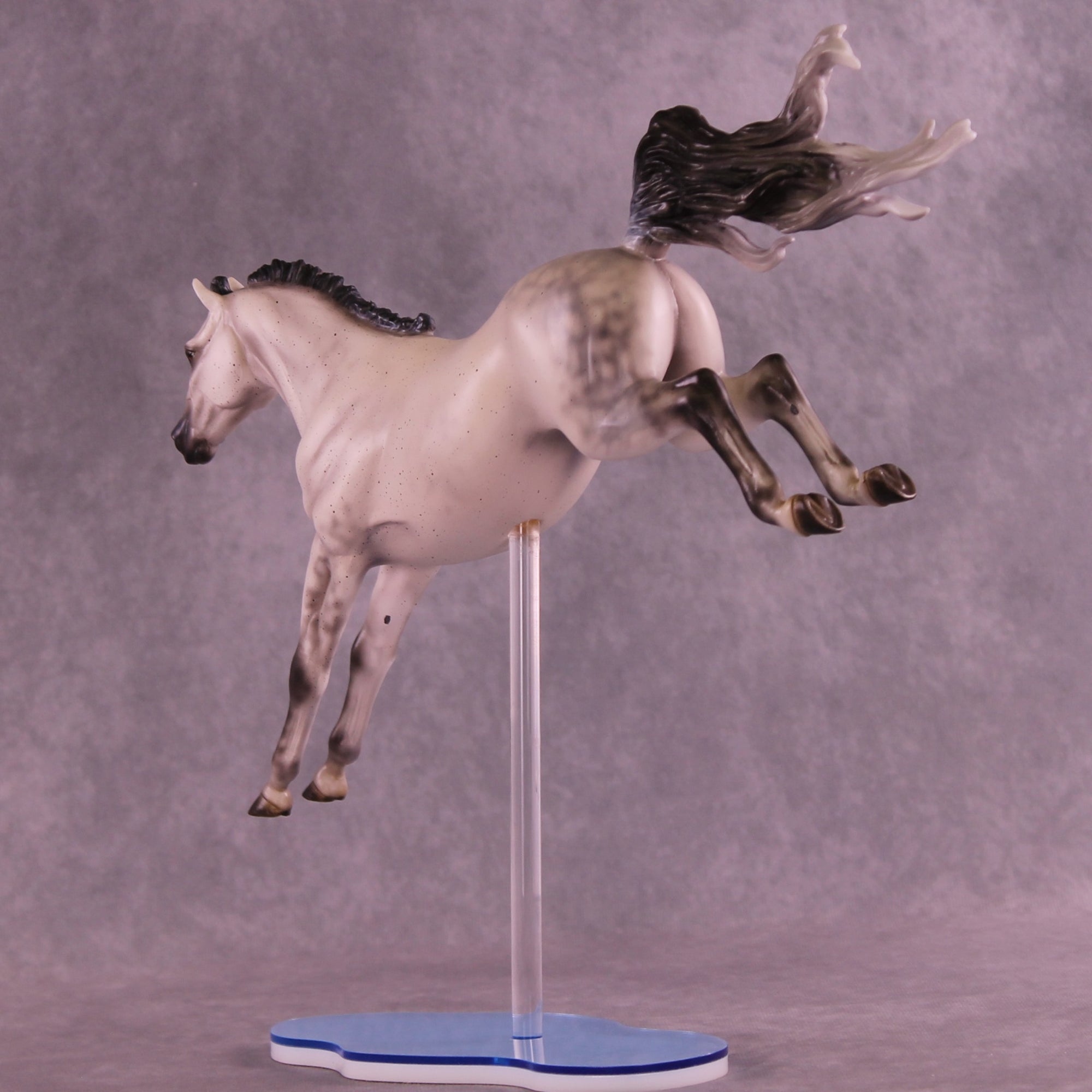 Dayzie LE-5 FCM Jumping Sport Horse by Melanie Miller TO26