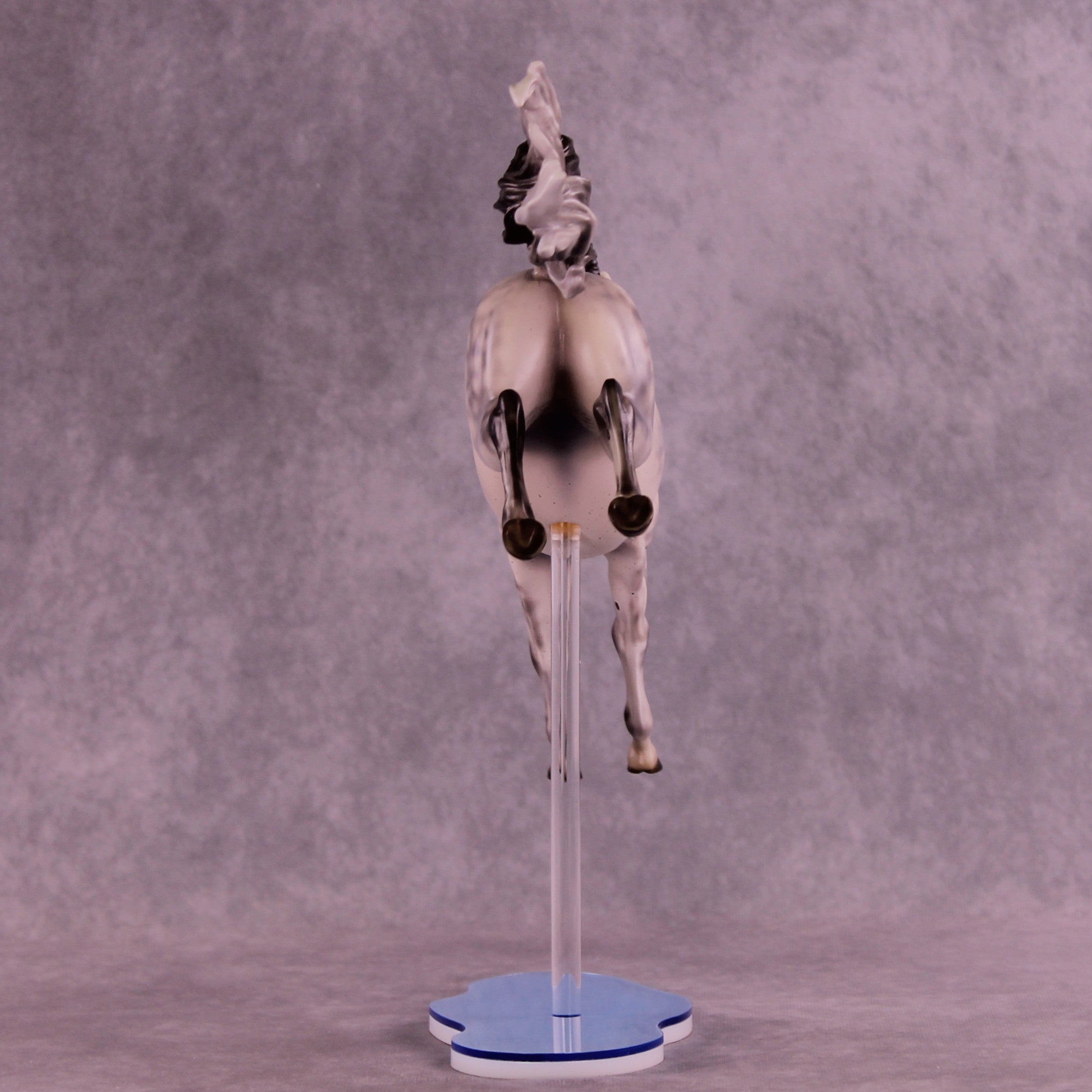 Dayzie LE-5 FCM Jumping Sport Horse by Melanie Miller TO26