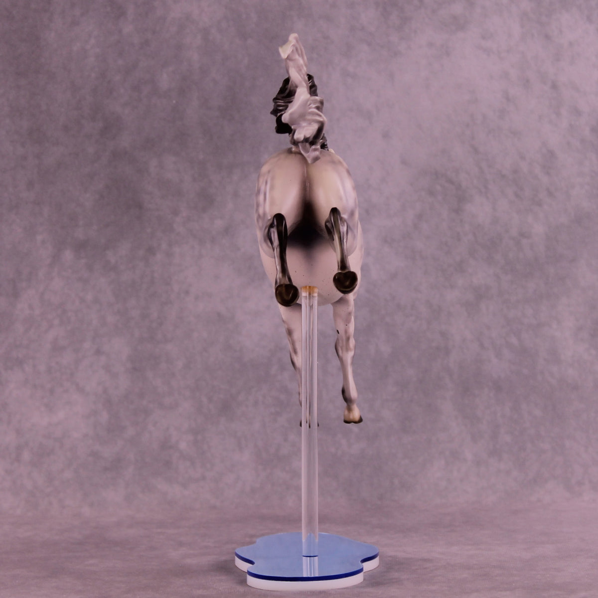 Dayzie LE-5 FCM Jumping Sport Horse by Melanie Miller TO26