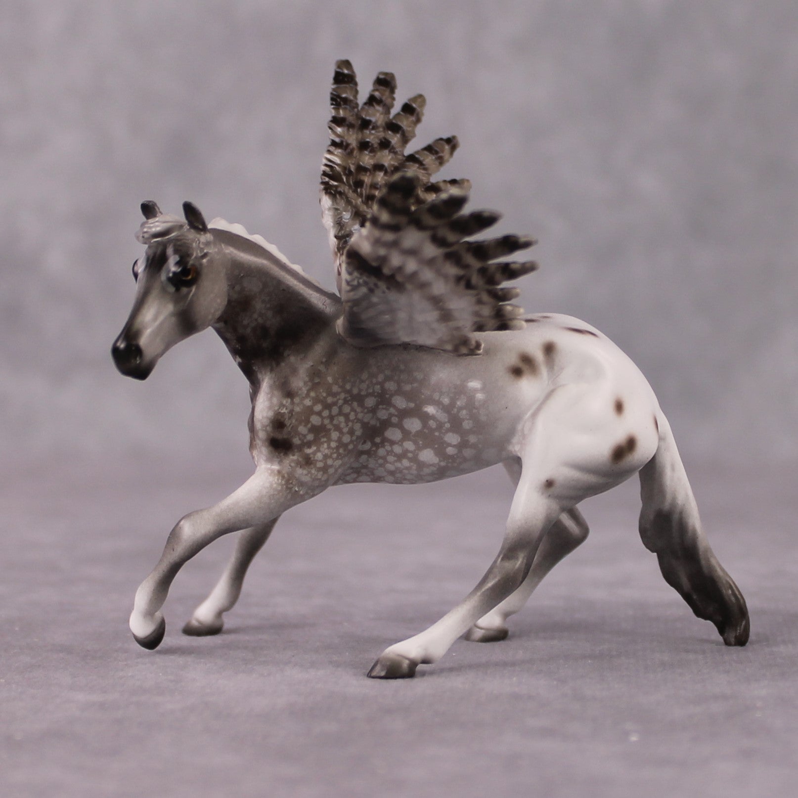 "Manitoba" Secret Surprise Chip Drop: Superb Owl Sunday OOAK Deco Custom Cutter Chip By Jess Hamill