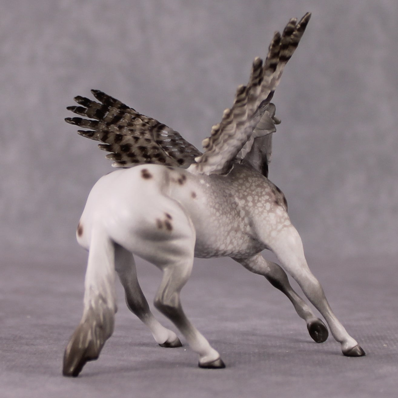 "Manitoba" Secret Surprise Chip Drop: Superb Owl Sunday OOAK Deco Custom Cutter Chip By Jess Hamill