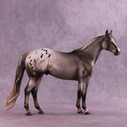 Dryer Sheet OOAK Ideal Stock Horse by Julie Keim DDOOAKs26