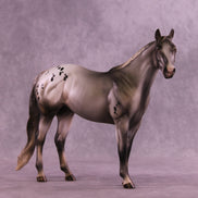 Dryer Sheet OOAK Ideal Stock Horse by Julie Keim DDOOAKs26