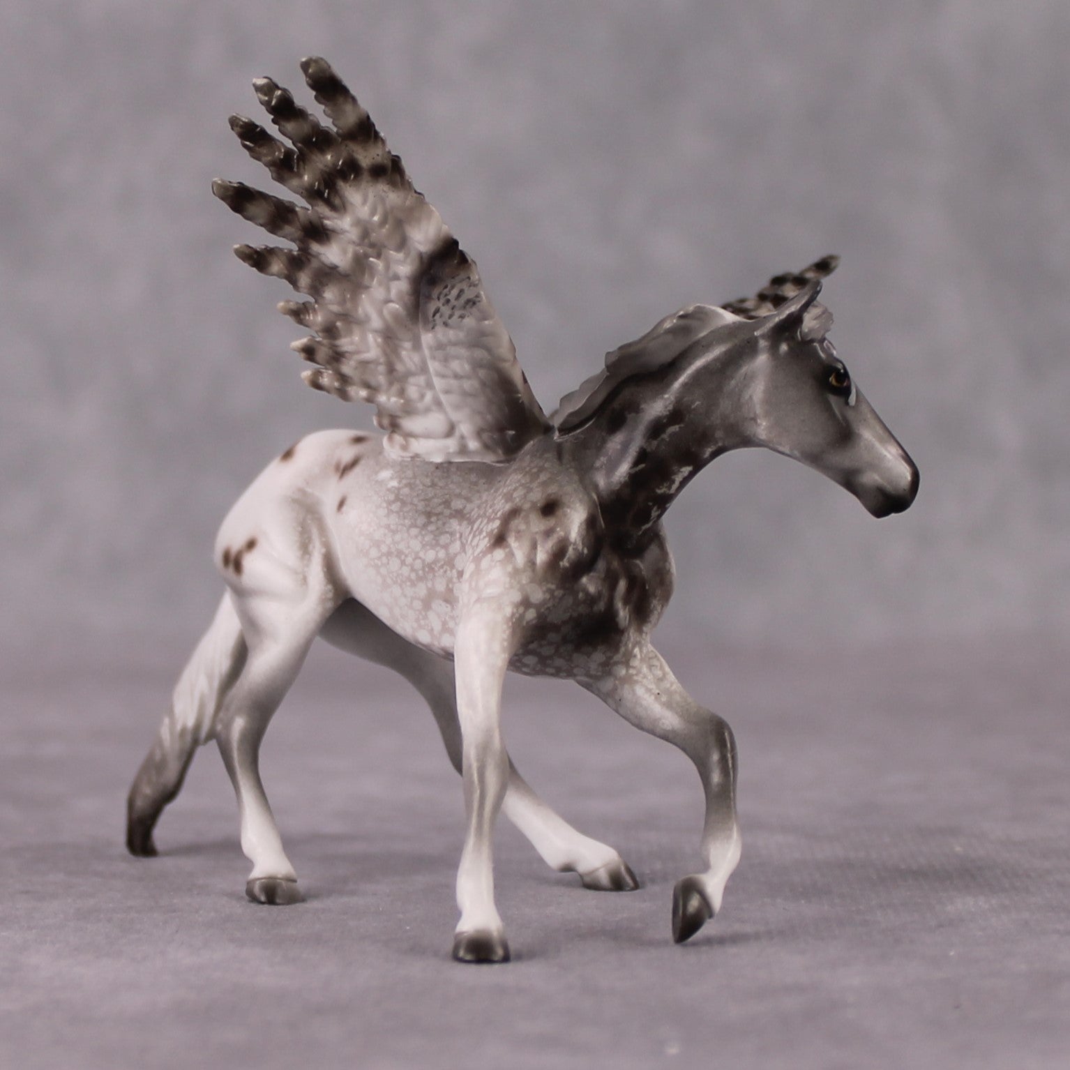 "Manitoba" Secret Surprise Chip Drop: Superb Owl Sunday OOAK Deco Custom Cutter Chip By Jess Hamill