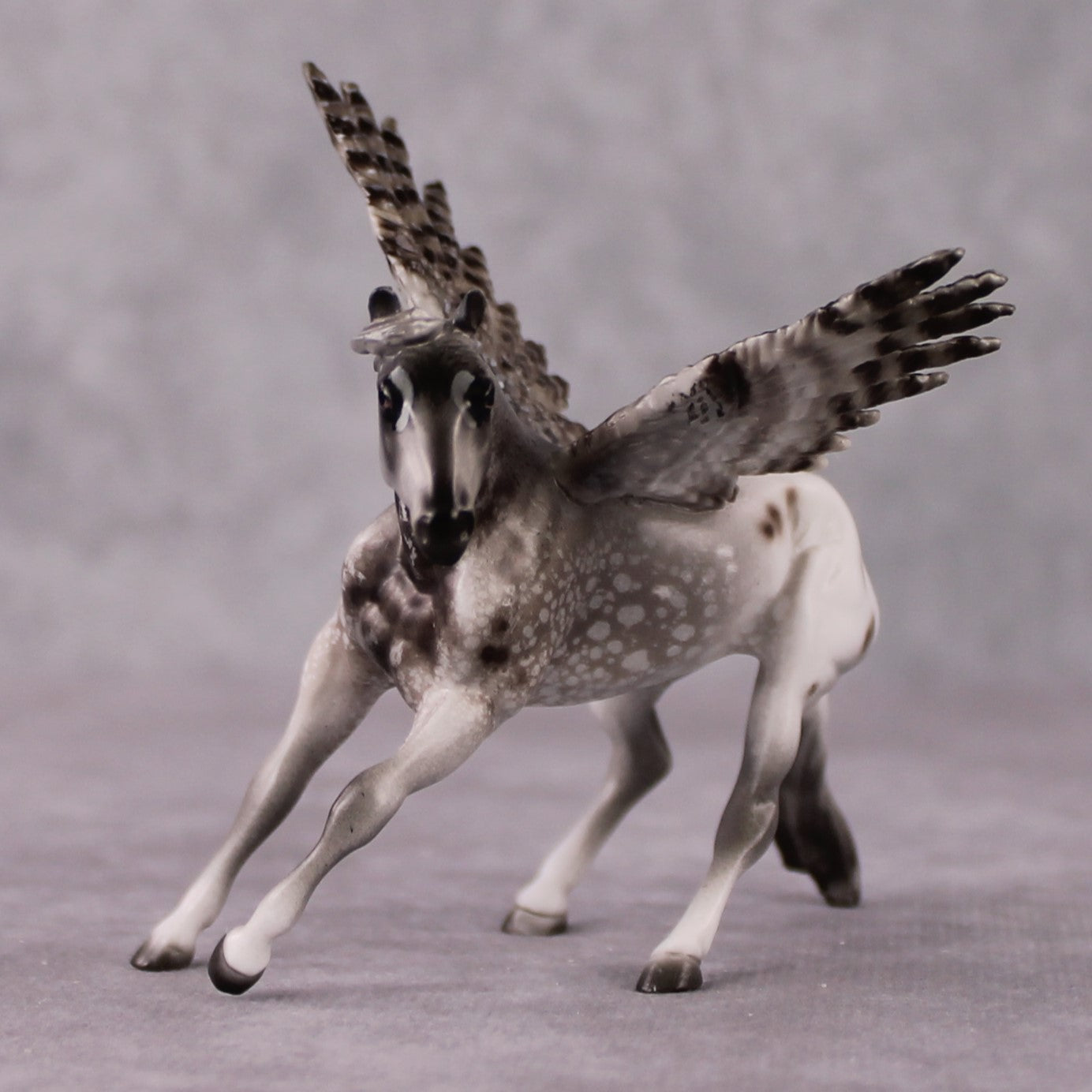 "Manitoba" Secret Surprise Chip Drop: Superb Owl Sunday OOAK Deco Custom Cutter Chip By Jess Hamill