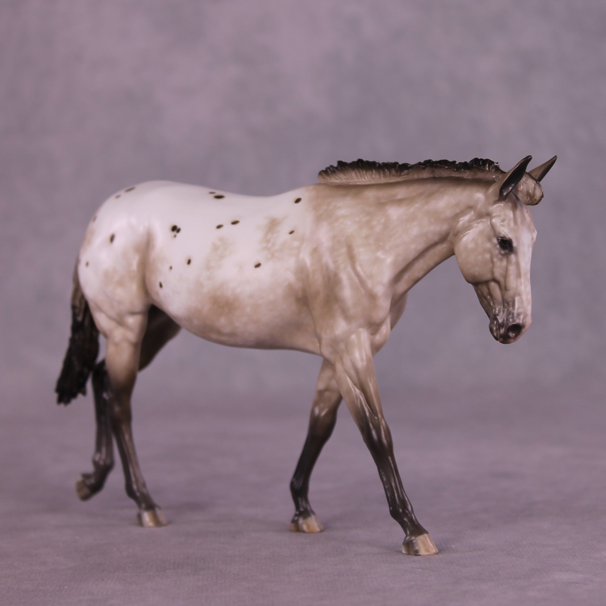 Canoodle OOAK FCM Pebble Mule by Sheryl Leisure Best Offers LHS25 09/09/2025