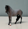 Party Favor OOAK Customized Blue Roan Andalusian Chip By Kristen Cermele -  SAMPLE &amp; OOAK SALE APRIL 2024 SS424