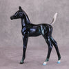 PREVIEW LISTING ONLY Little Cosmic One OOAK Starry Deco Arab Foal By Ashley Palmer MM24