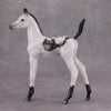 PREVIEW LISTING ONLY Selene OOAK Pearl Black Pinto Arab Foal By Jamie Adamson MM24