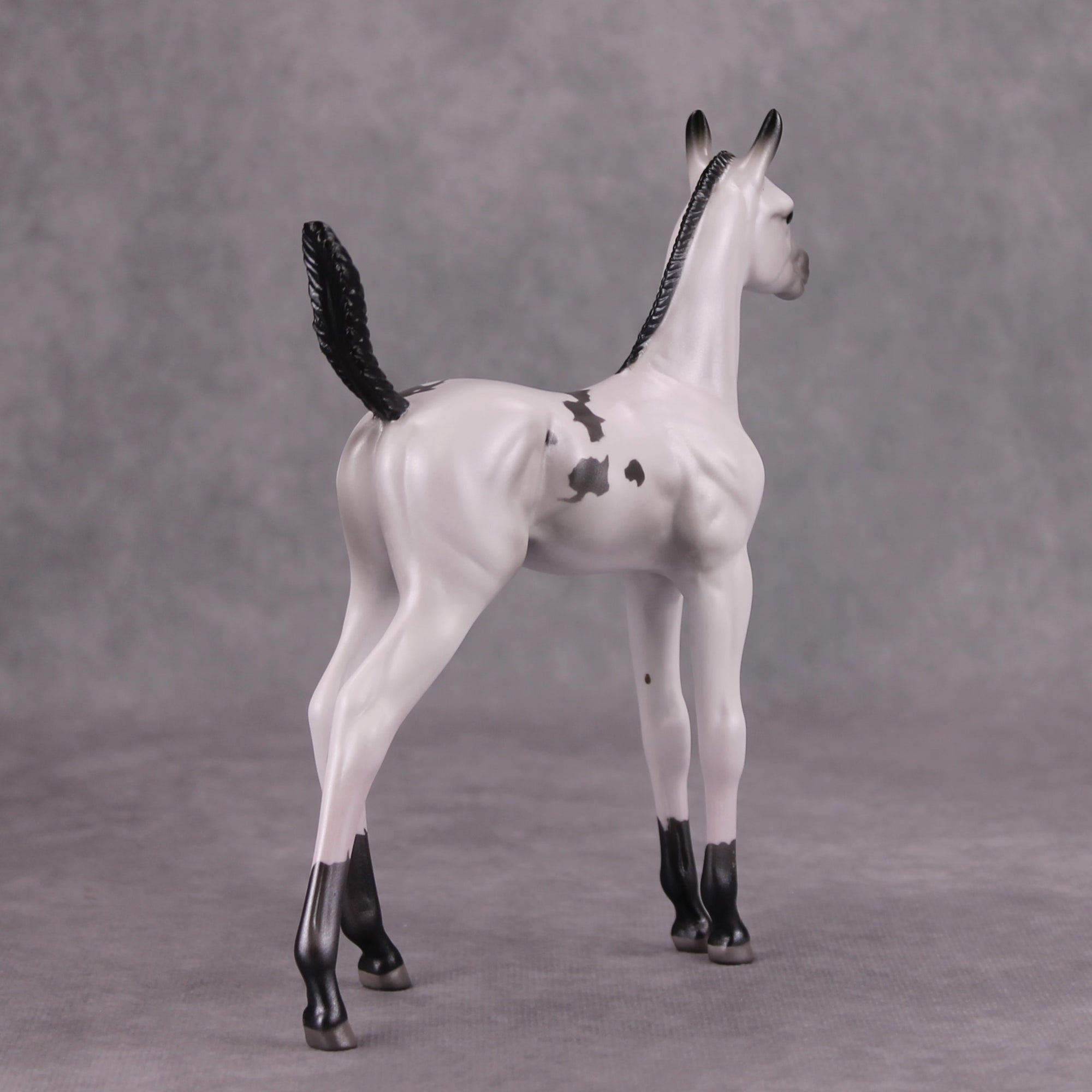 Selene OOAK Pearl Black Pinto Arab Foal By Jamie Adamson MM24