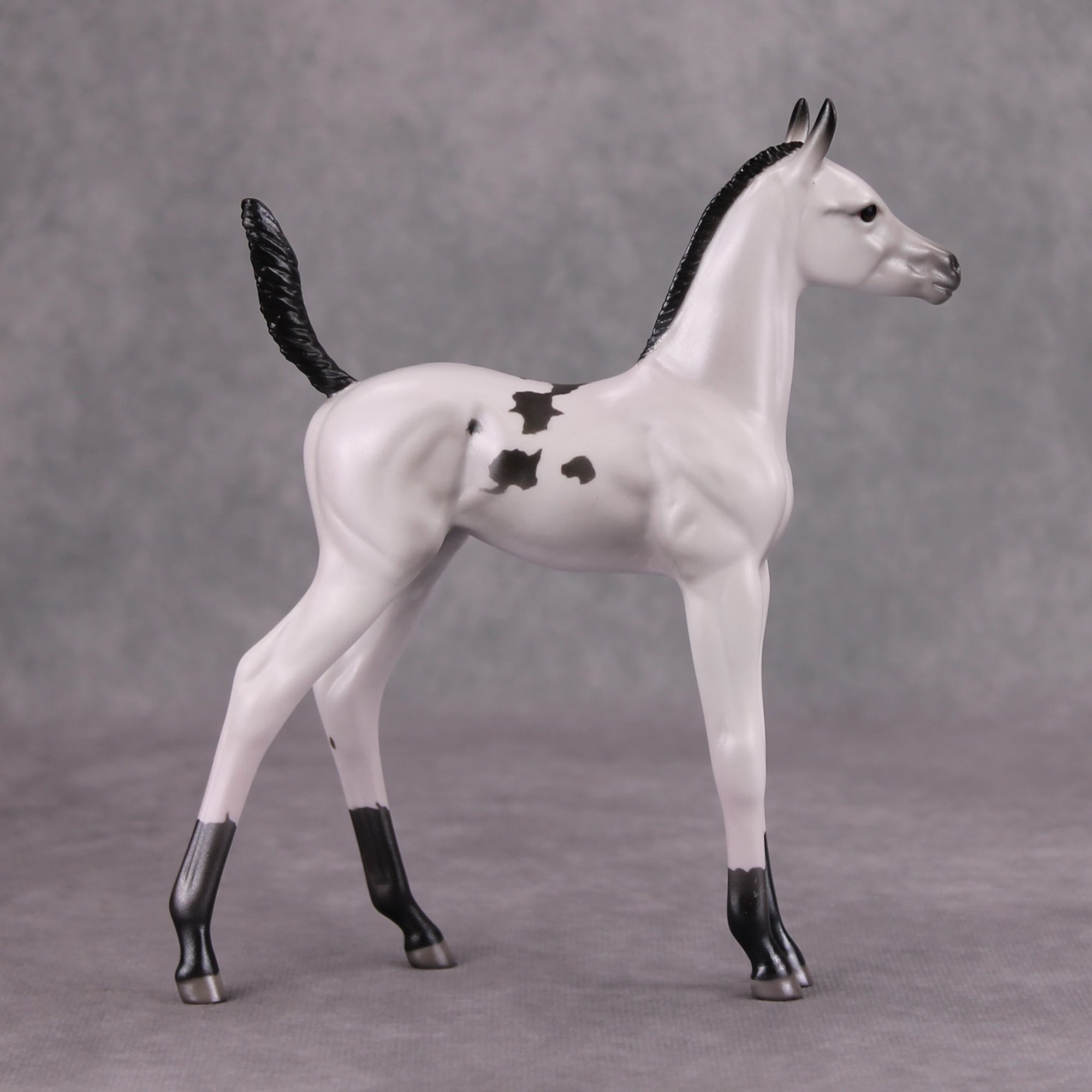 Selene OOAK Pearl Black Pinto Arab Foal By Jamie Adamson MM24