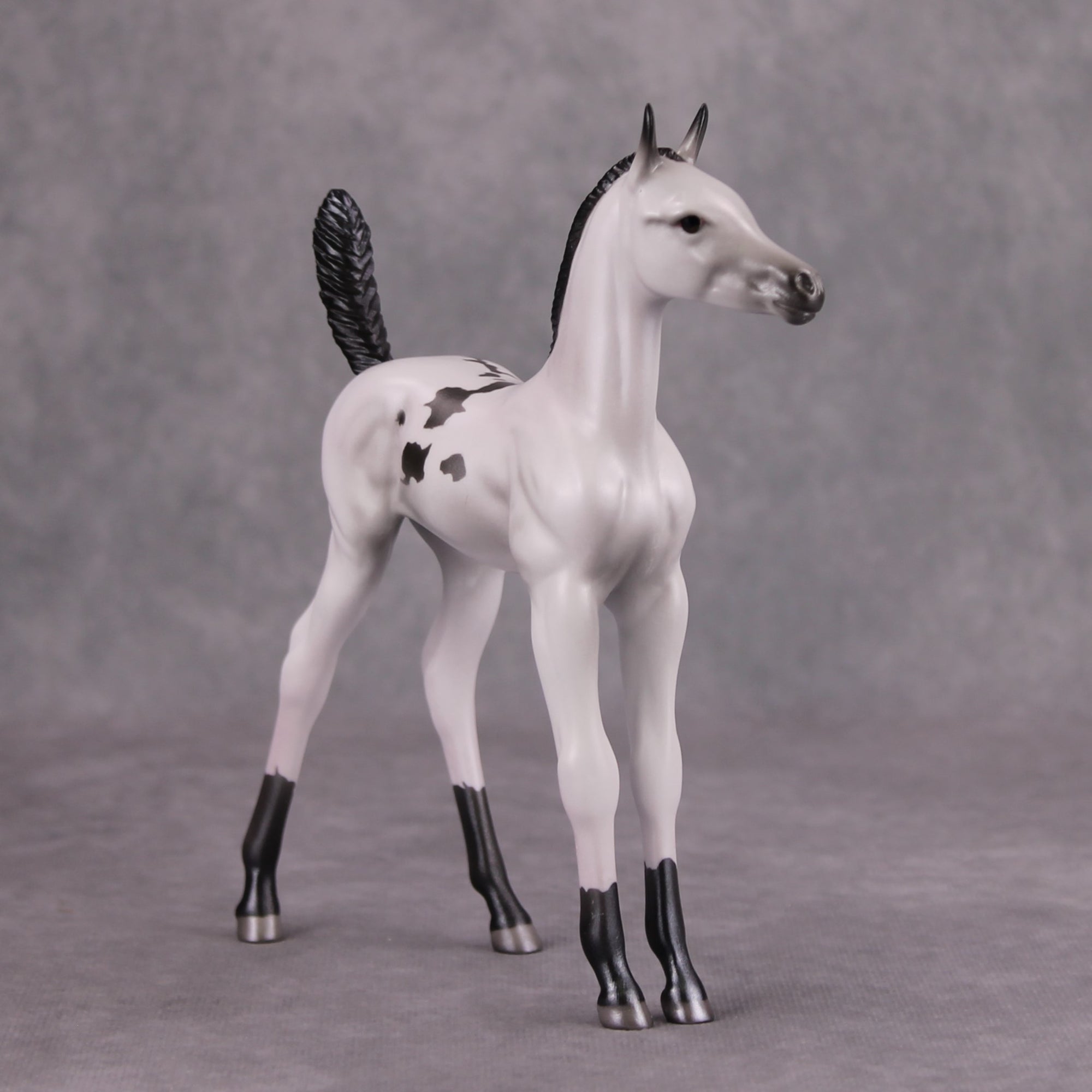 Selene OOAK Pearl Black Pinto Arab Foal By Jamie Adamson MM24