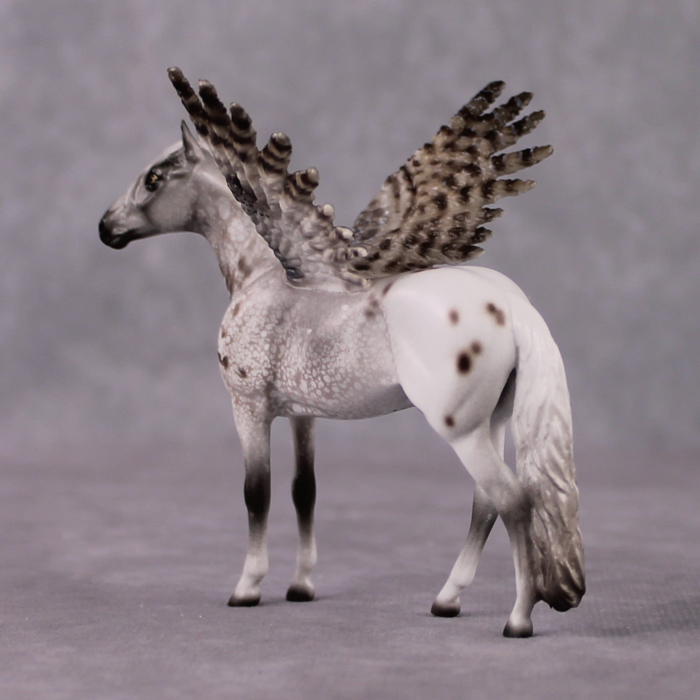 "Nebulosa" Secret Surprise Chip Drop: Superb Owl Sunday OOAK Deco Custom Andalusian Chip By Jess Hamill