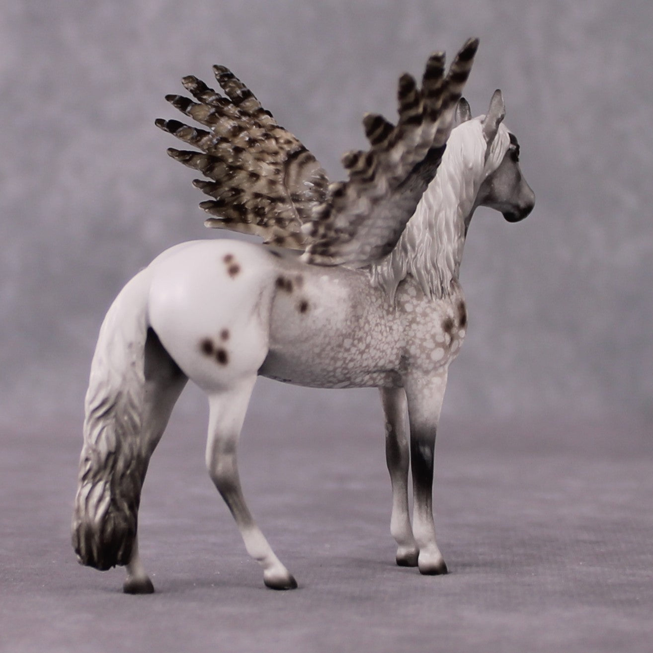 "Nebulosa" Secret Surprise Chip Drop: Superb Owl Sunday OOAK Deco Custom Andalusian Chip By Jess Hamill