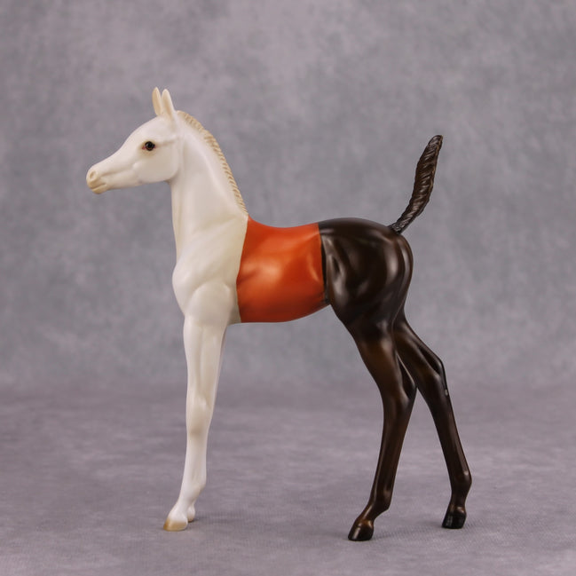 All or Nothing OOAK Candy Corn Deco Arab Foal By Julie Keim MM24