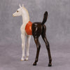 PREVIEW LISTING ONLY All or Nothing OOAK Candy Corn Deco Arab Foal By Julie Keim MM24