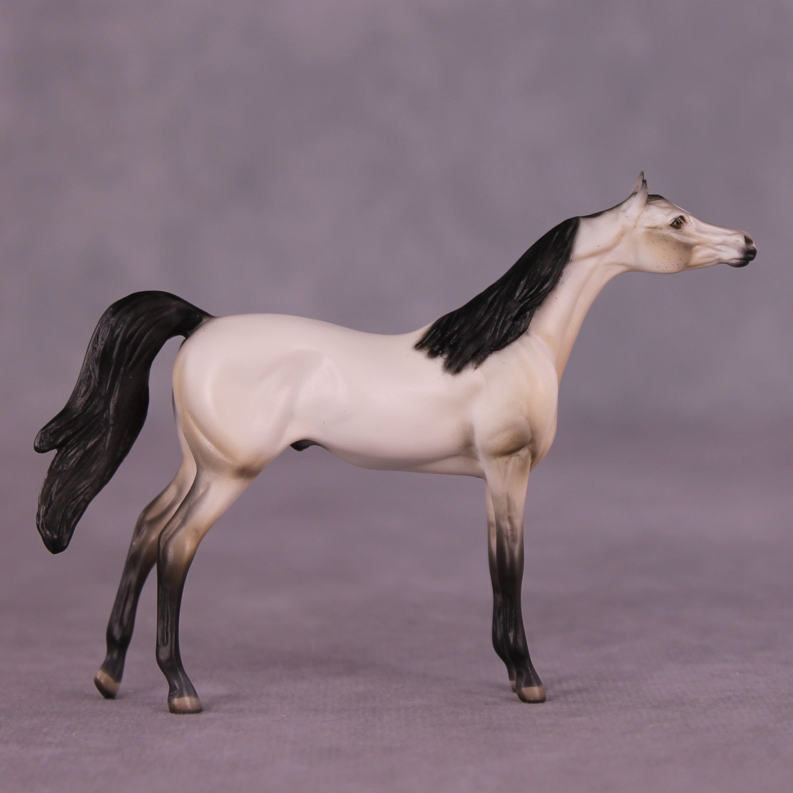 Pancakes OOAK Arabian Chip by Dawn Quick LHS25