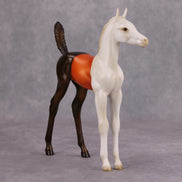 All or Nothing OOAK Candy Corn Deco Arab Foal By Julie Keim MM24