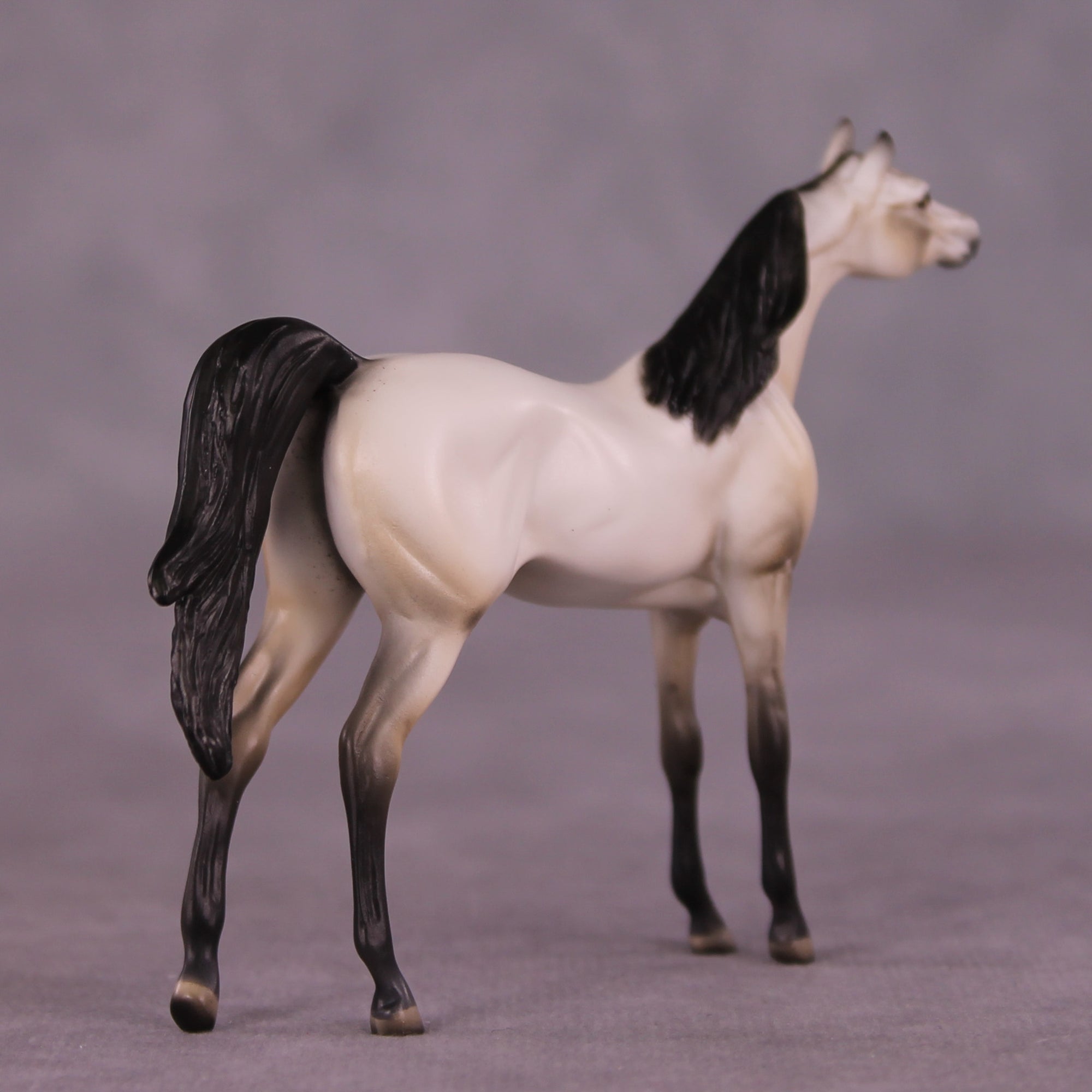 Pancakes OOAK Arabian Chip by Dawn Quick LHS25