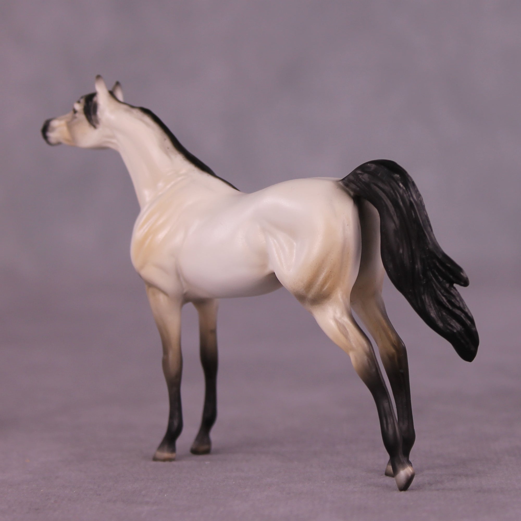 Pancakes OOAK Arabian Chip by Dawn Quick LHS25