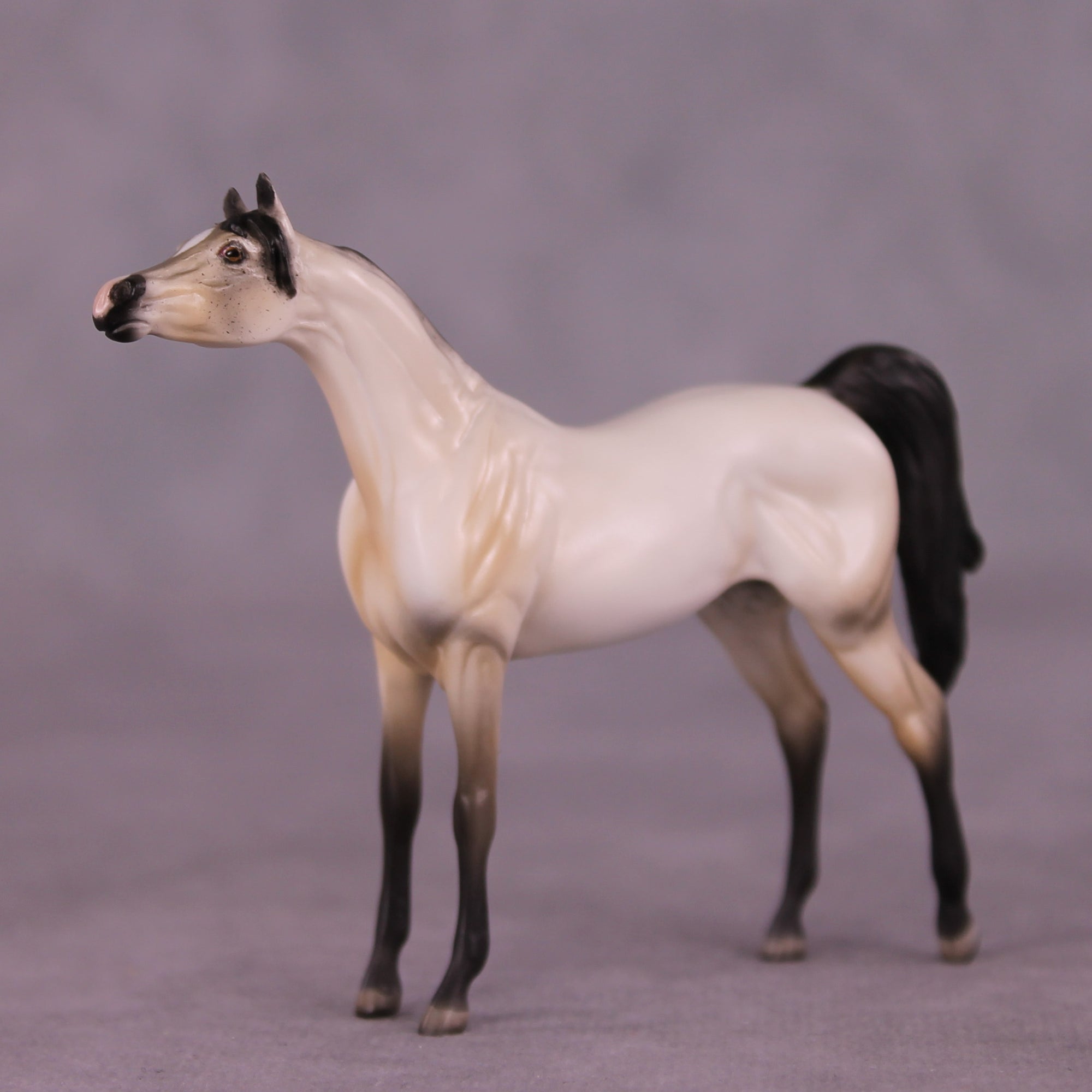 Pancakes OOAK Arabian Chip by Dawn Quick LHS25