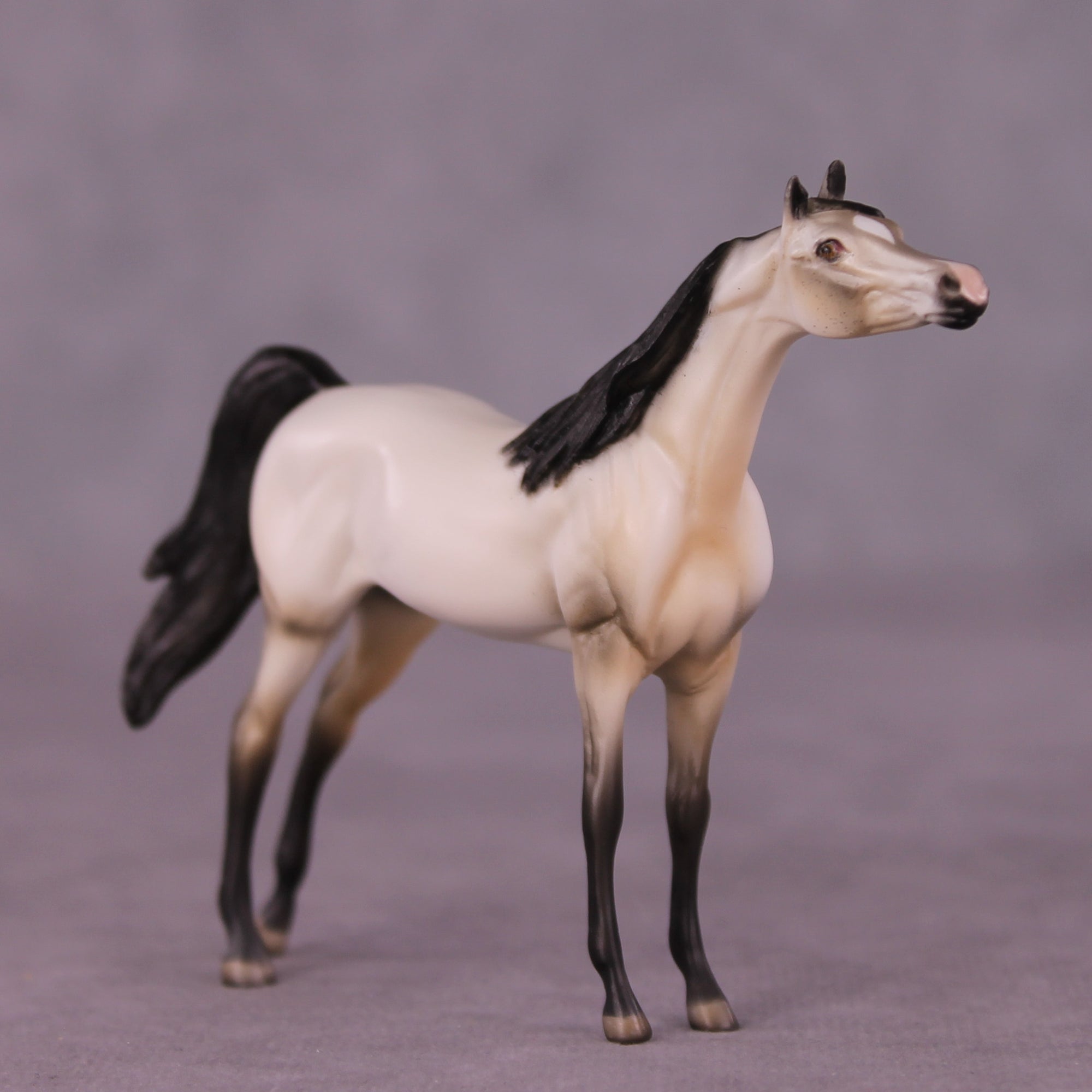 Pancakes OOAK Arabian Chip by Dawn Quick LHS25