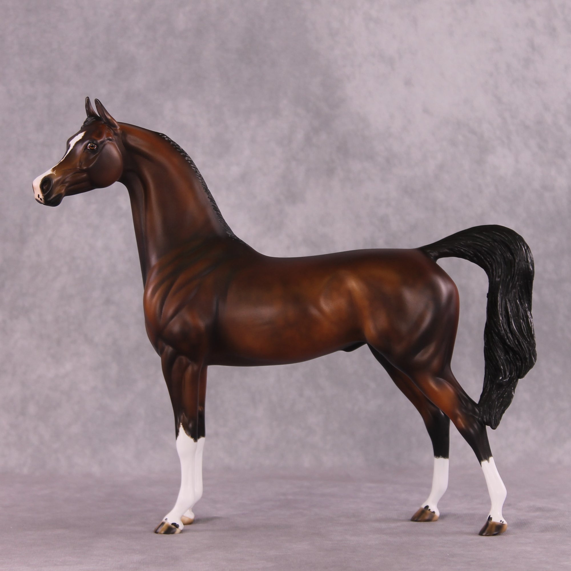 "Verisimiltude" OOAK Arabian by Julie Keim SHCF25