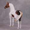 PREVIEW LISTING ONLY Pumpkin Patch OOAK Chestnut Tobiano Custom Morgan By Ashley Palmer MM24 Online Drawing