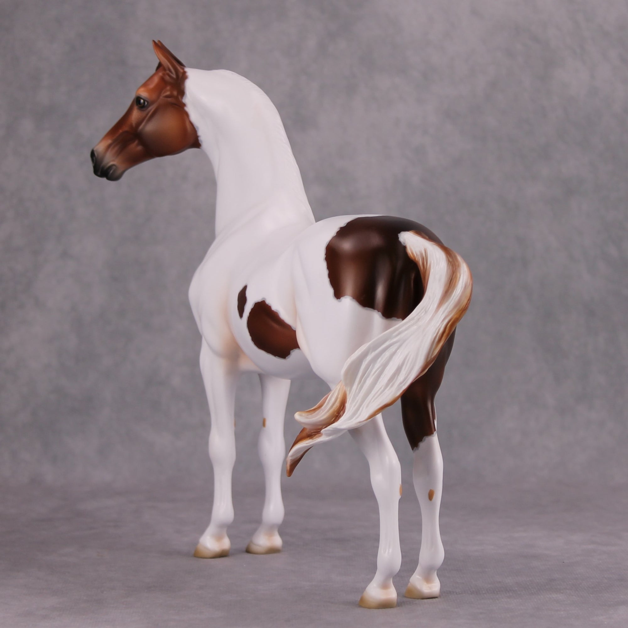 Pumpkin Patch OOAK Chestnut Tobiano Custom Morgan By Ashley Palmer MM24 Online Drawing