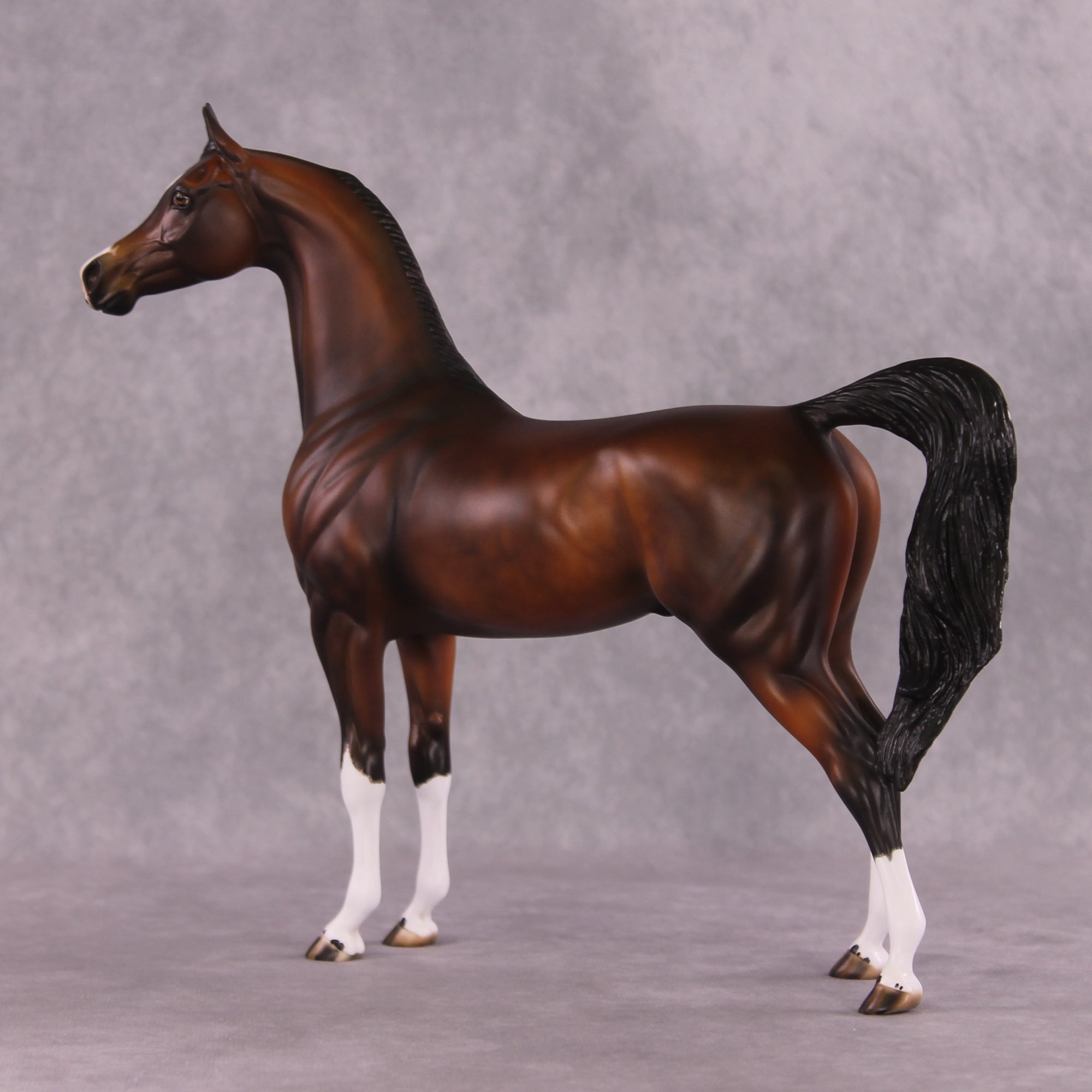 "Verisimiltude" OOAK Arabian by Julie Keim SHCF25