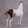 PREVIEW LISTING ONLY Pumpkin Patch OOAK Chestnut Tobiano Custom Morgan By Ashley Palmer MM24 Online Drawing